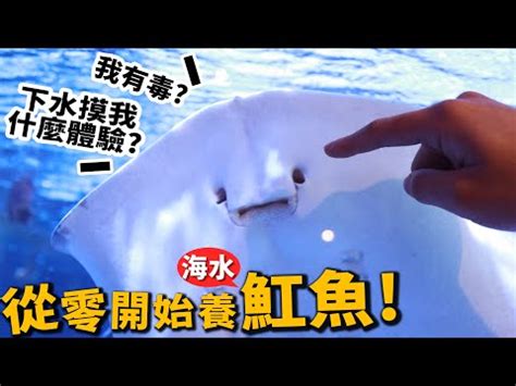 魟魚讀音